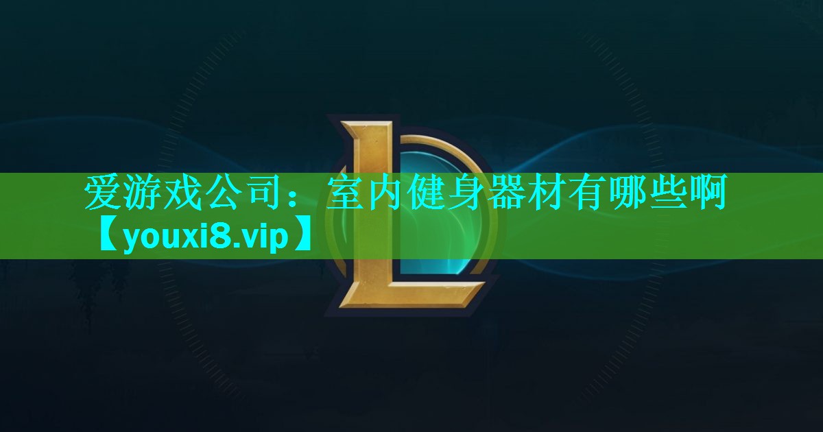 爱游戏公司：室内健身器材有哪些啊