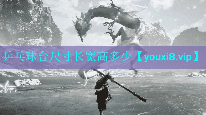乒乓球台尺寸长宽高多少