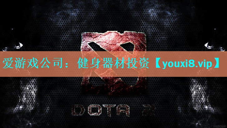 爱游戏公司：健身器材投资