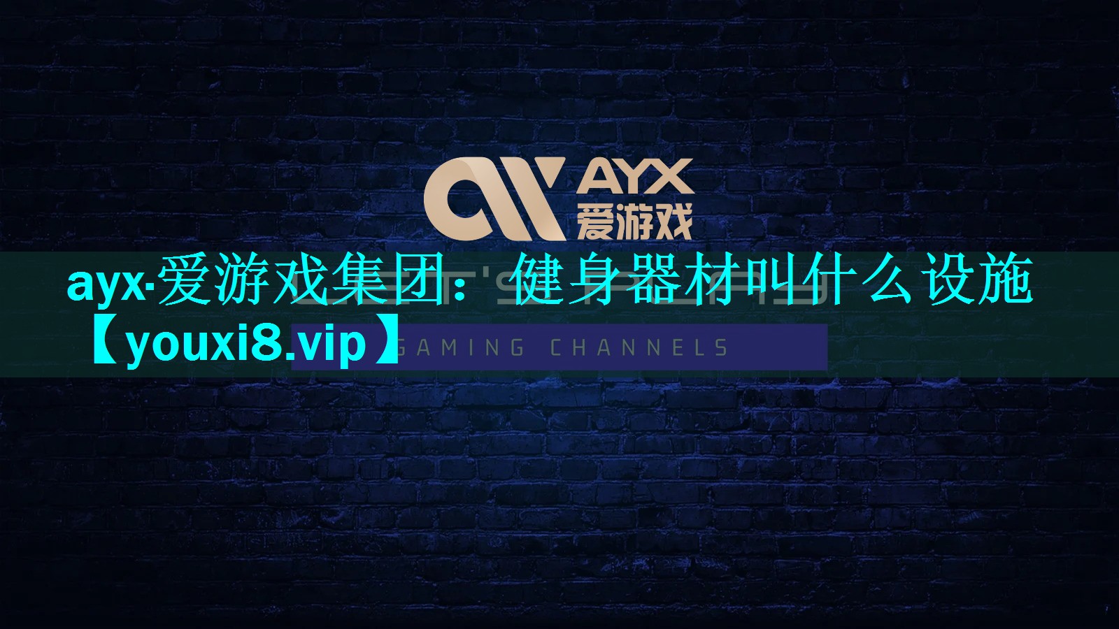 ayx·爱游戏集团：健身器材叫什么设施