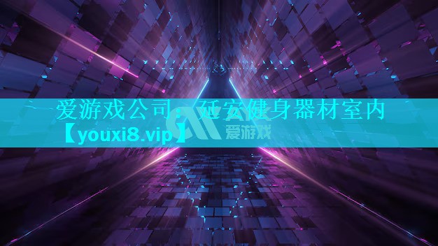 爱游戏公司：延安健身器材室内