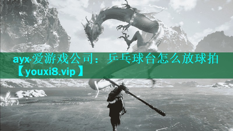 ayx·爱游戏公司：乒乓球台怎么放球拍