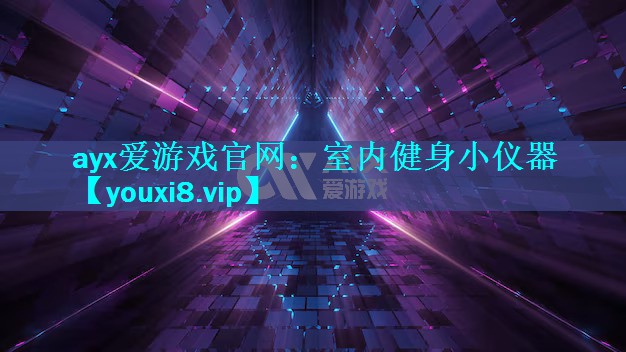室内健身小仪器 室内健身小仪器