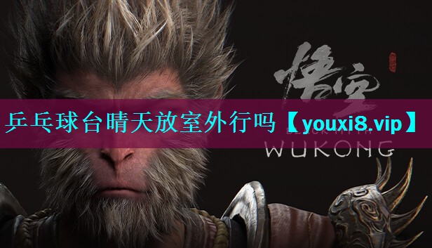 乒乓球台晴天放室外行吗 乒乓球台晴天放室外行吗