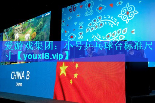 小号乒乓球台标准尺寸 小号乒乓球台标准尺寸
