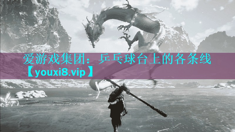 乒乓球台上的各条线 乒乓球台上的各条线