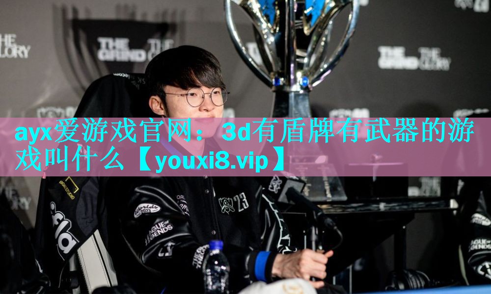 3d有盾牌有武器的游戏叫什么 3d有盾牌有武器的游戏叫什么