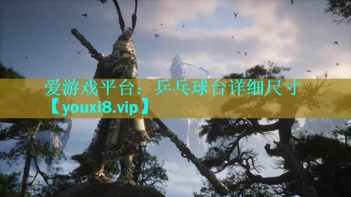 乒乓球台详细尺寸 乒乓球台详细尺寸