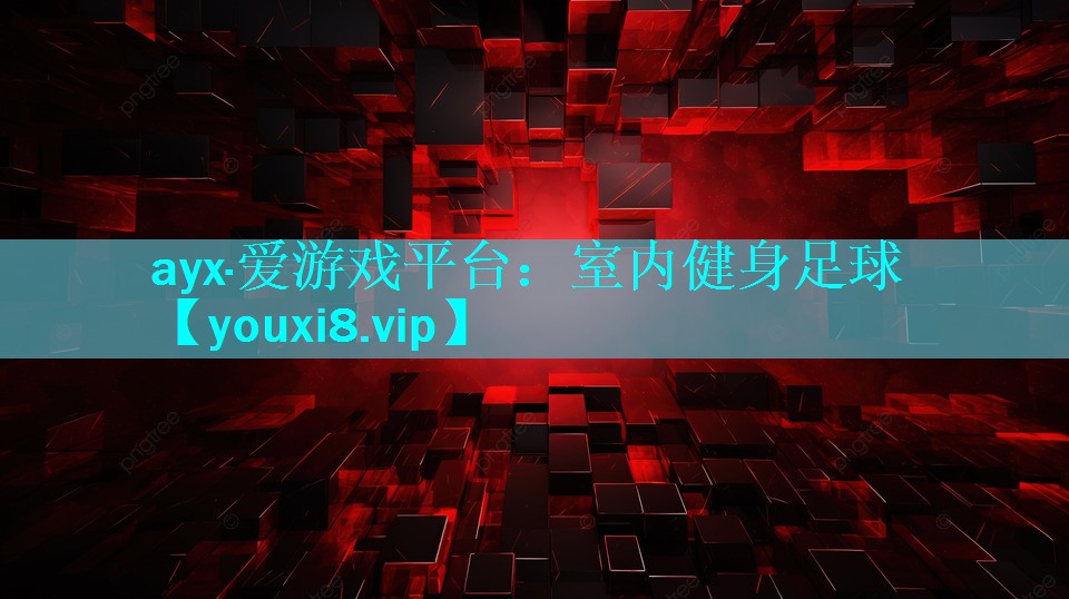 室内健身足球 室内健身足球