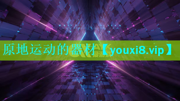 原地运动的器材 原地运动的器材