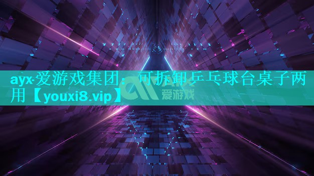 可拆卸乒乓球台桌子两用 可拆卸乒乓球台桌子两用