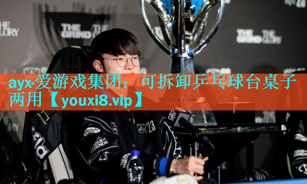 可拆卸乒乓球台桌子两用 可拆卸乒乓球台桌子两用
