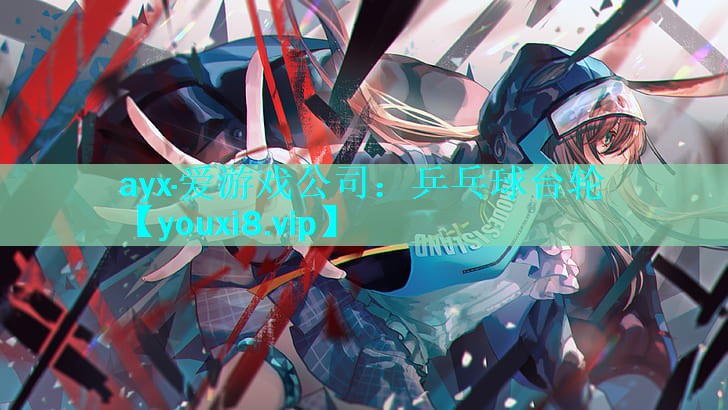 乒乓球台轮 乒乓球台轮