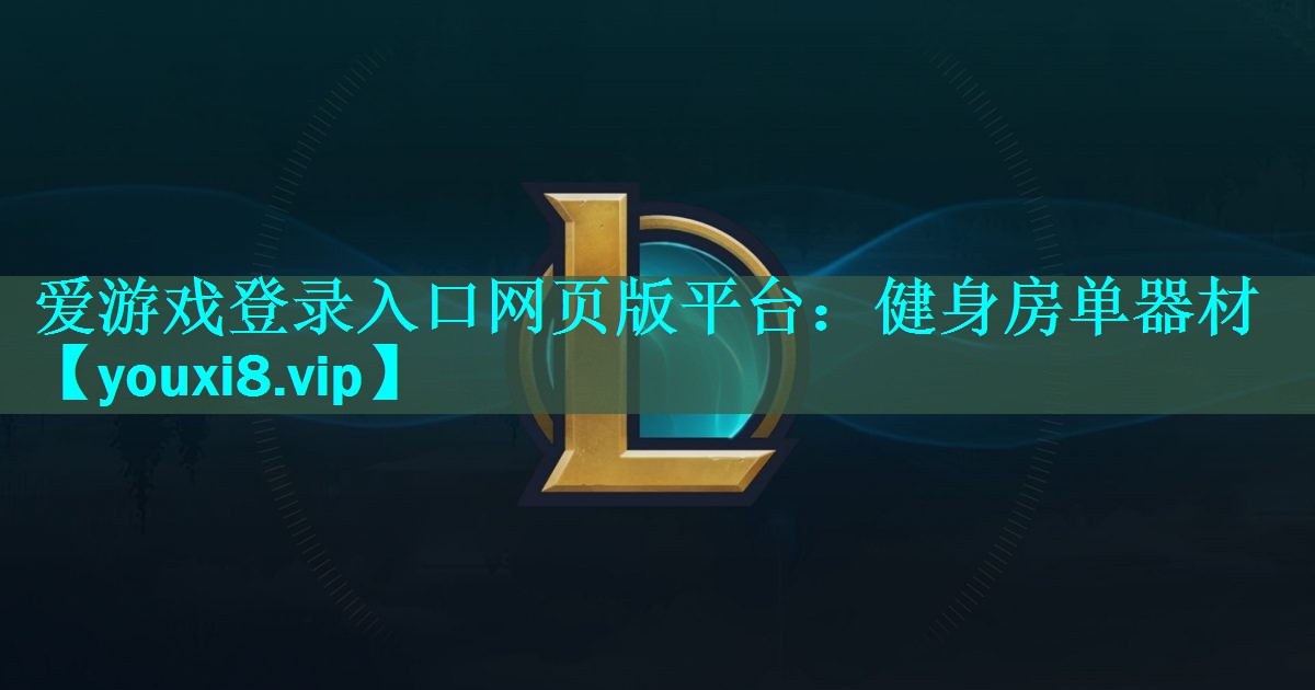 健身房单器材 健身房单器材