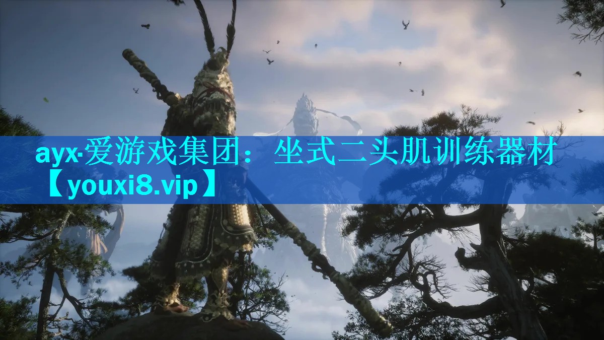 坐式二头肌训练器材 坐式二头肌训练器材