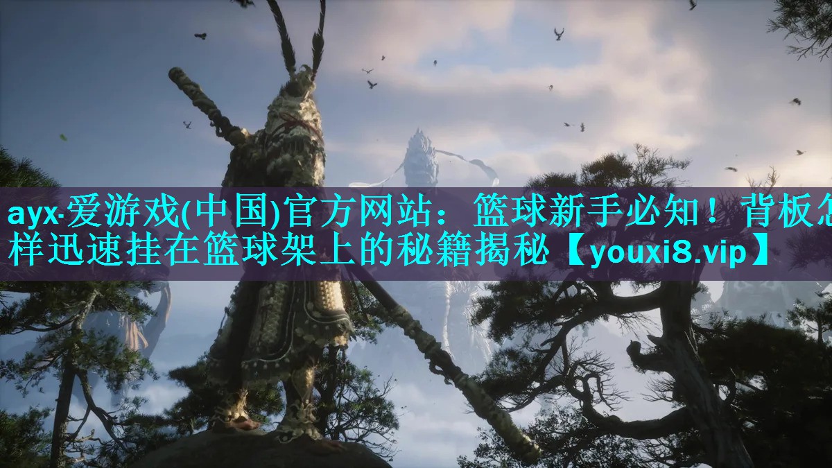 篮球新手必知!背板怎样迅速挂在篮球架上的秘籍揭秘 篮球新手必知!背板怎样迅速挂在篮球架上的秘籍揭秘