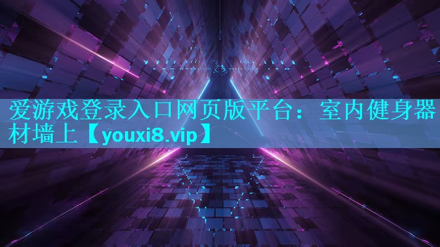 室内健身器材墙上 室内健身器材墙上