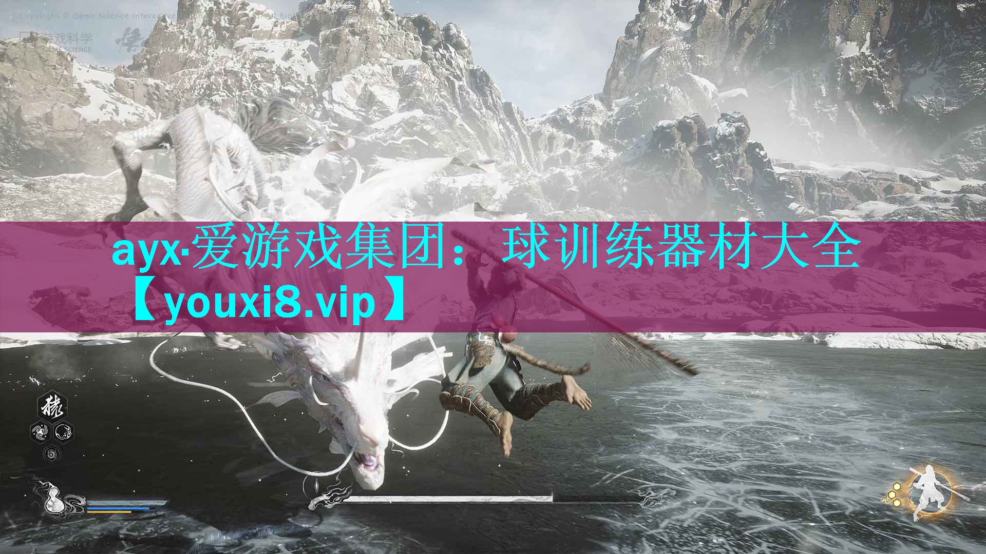 球训练器材大全 球训练器材大全