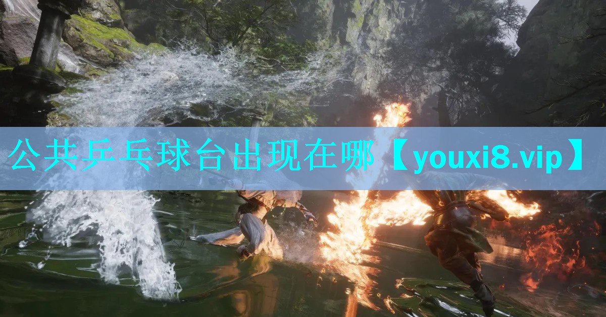 公共乒乓球台出现在哪 公共乒乓球台出现在哪