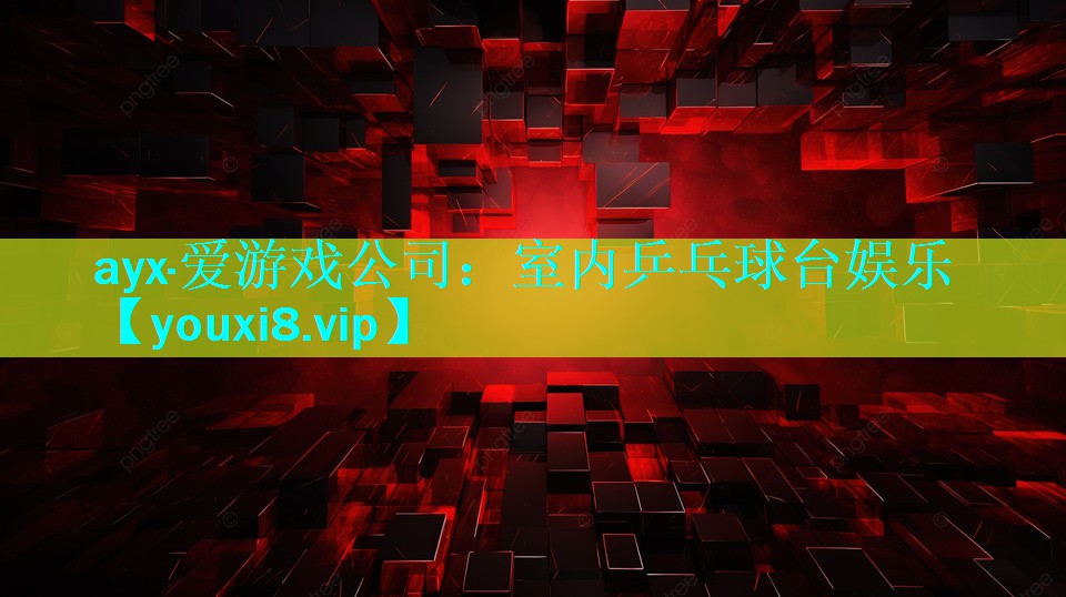 室内乒乓球台娱乐 室内乒乓球台娱乐