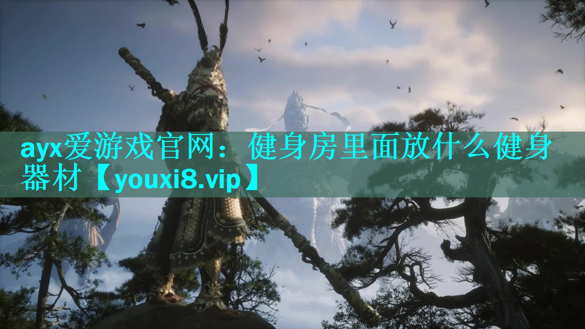 健身房里面放什么健身器材 健身房里面放什么健身器材
