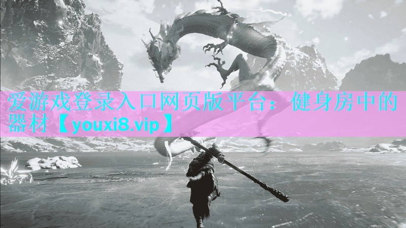 健身房中的器材 健身房中的器材