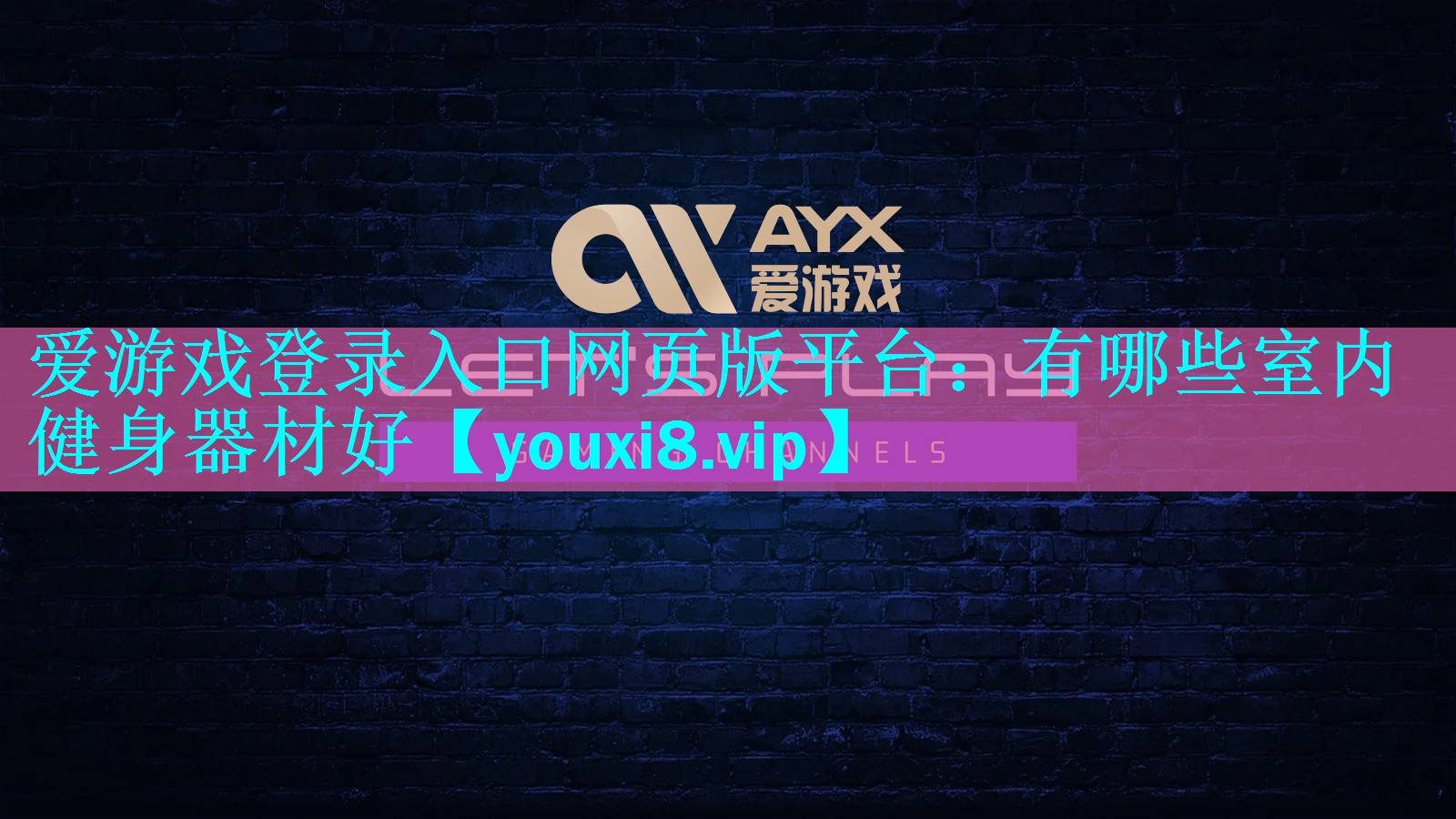 有哪些室内健身器材好 有哪些室内健身器材好