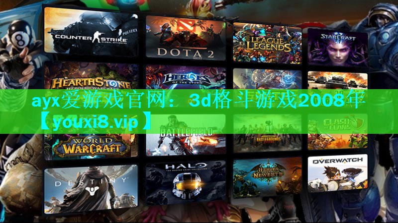 3d格斗游戏2008年 3d格斗游戏2008年