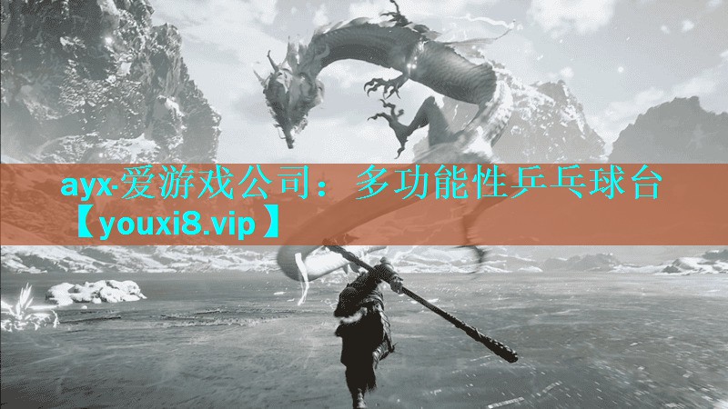 多功能性乒乓球台 多功能性乒乓球台
