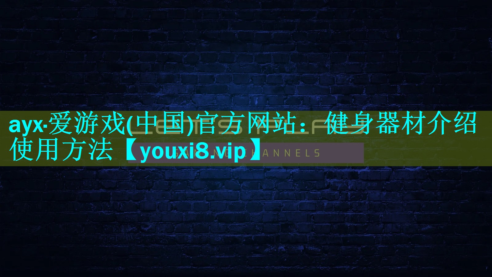 健身器材介绍使用方法 健身器材介绍使用方法